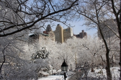 Централ парк после мартовской метели