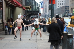 Этот эпатаж не просто так, а в защиту животных